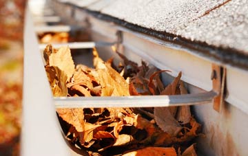 Cubley Common gutter cleaning companies